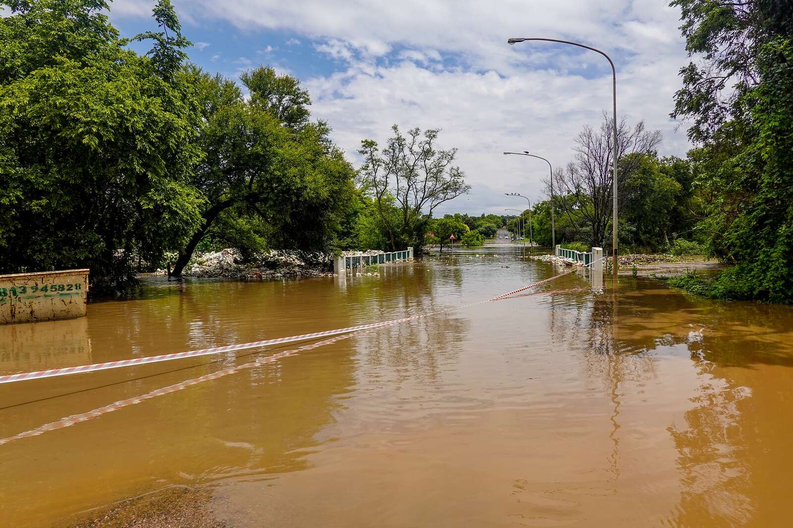 A flooded road under trees, the kind of water that pushes rodents uphill into houses