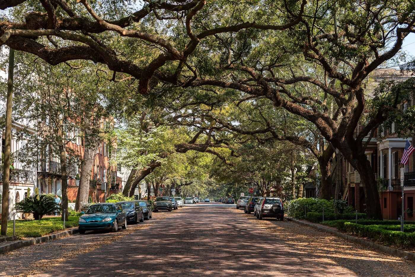 A residential street under a canopy of mature live oaks