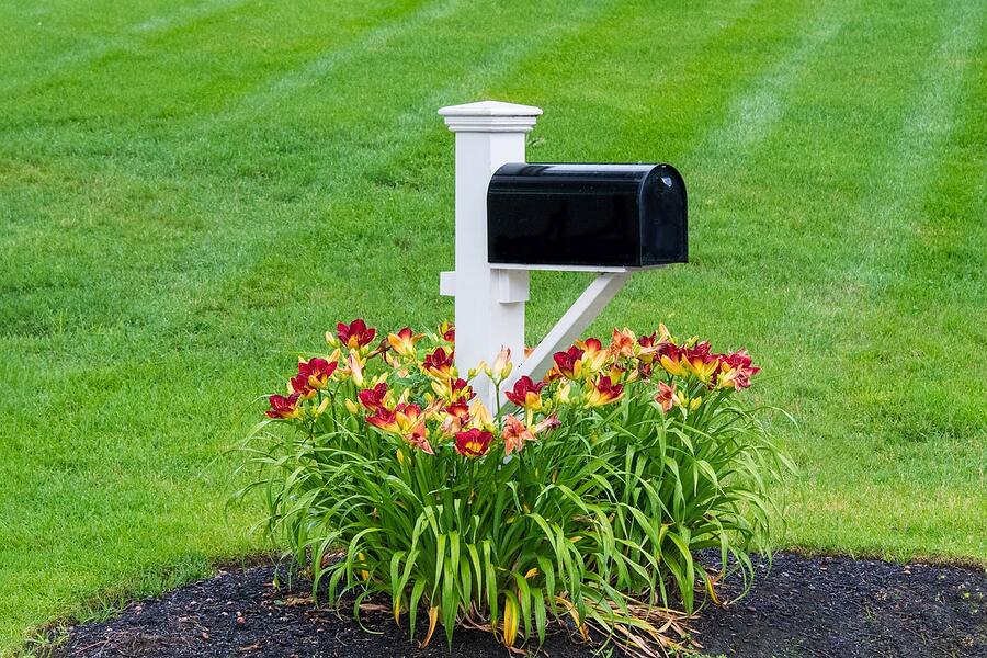 A mailbox at the curb of a residential street