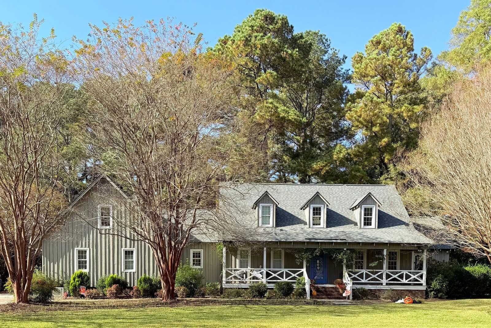 A wood-sided house on a lot thick with trees